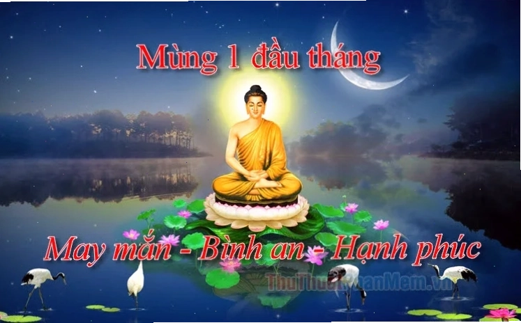 Meme tích cực Meme chúc bạn may mắn lần sau và thông điệp tích cực