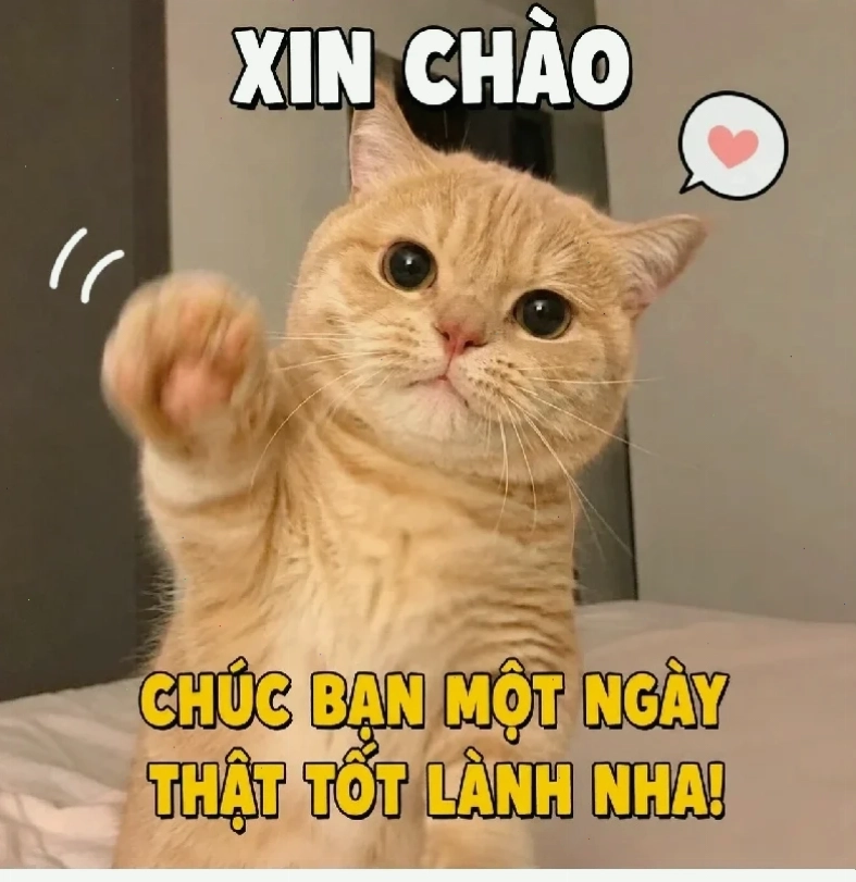 meme có chữ meme có chữ