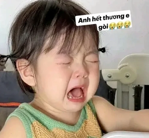 meme có chữ meme có chữ