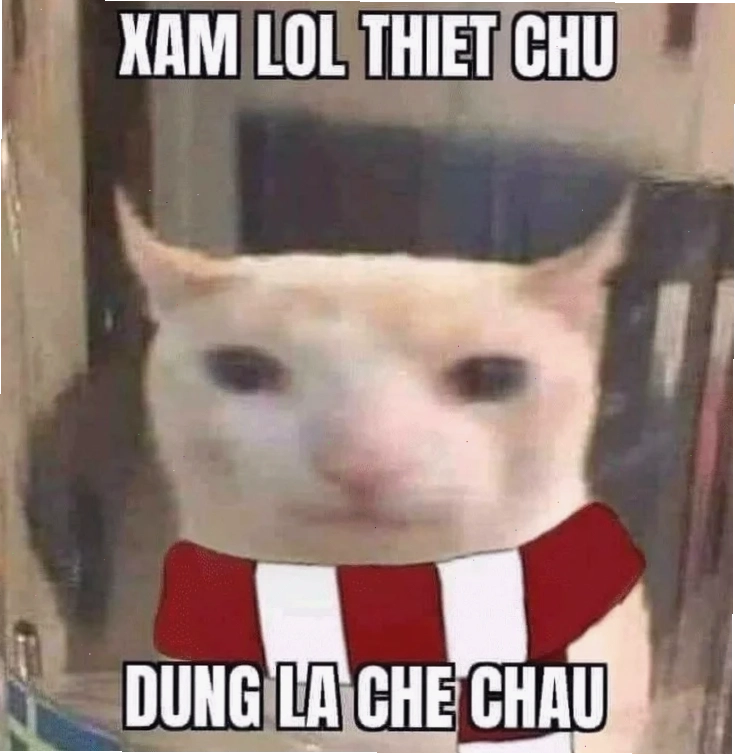 meme có chữ meme có chữ