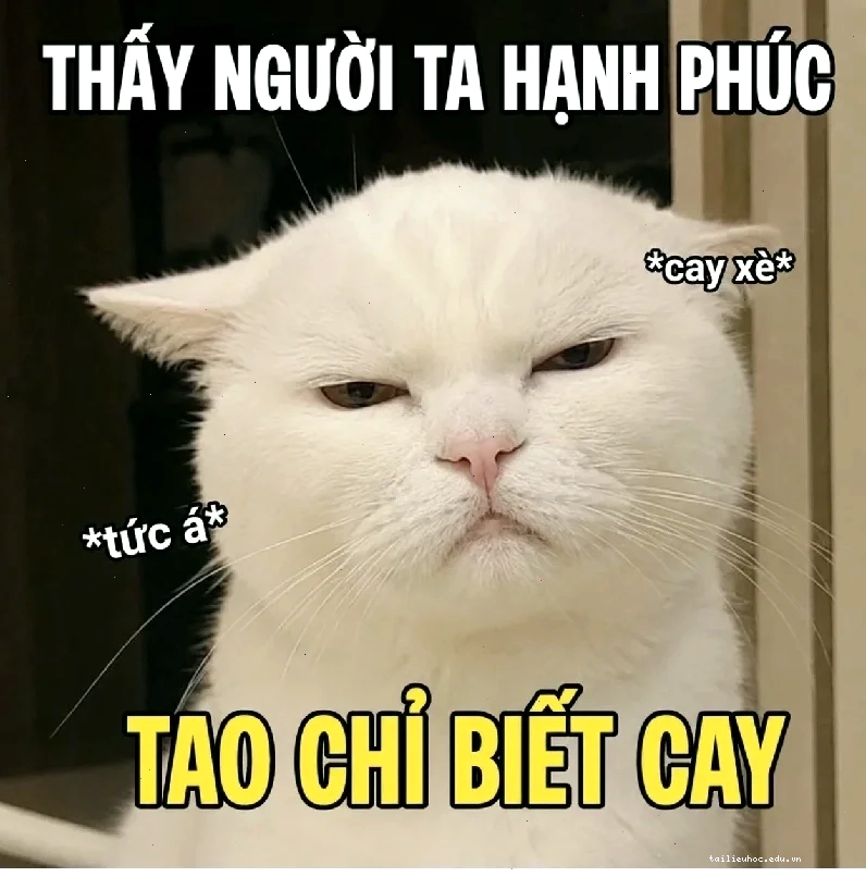 meme có chữ meme có chữ