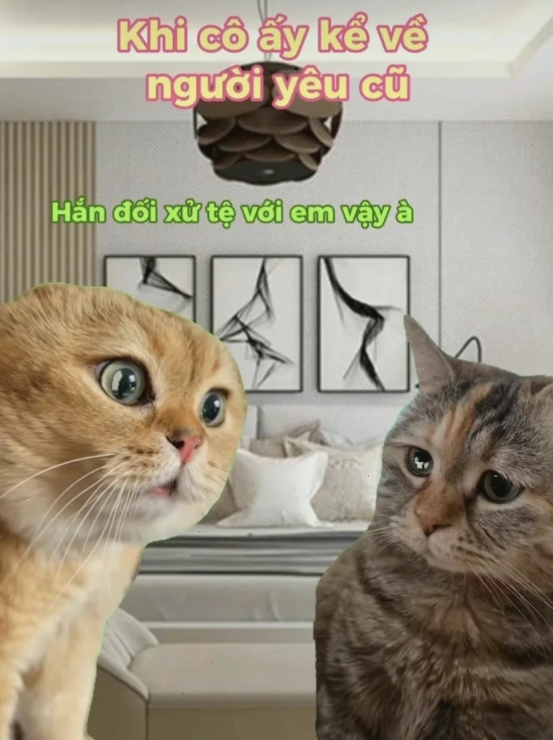 meme có chữ meme có chữ