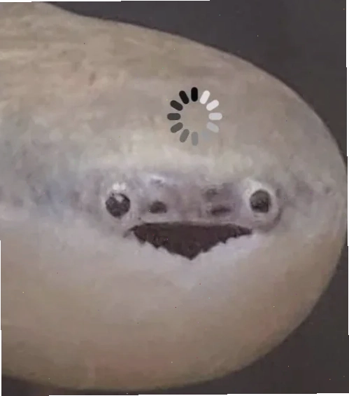 meme con cá há miệng meme con cá há miệng