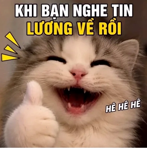 Mèo trầm ngâm meme con mèo chống cằm suy nghĩ