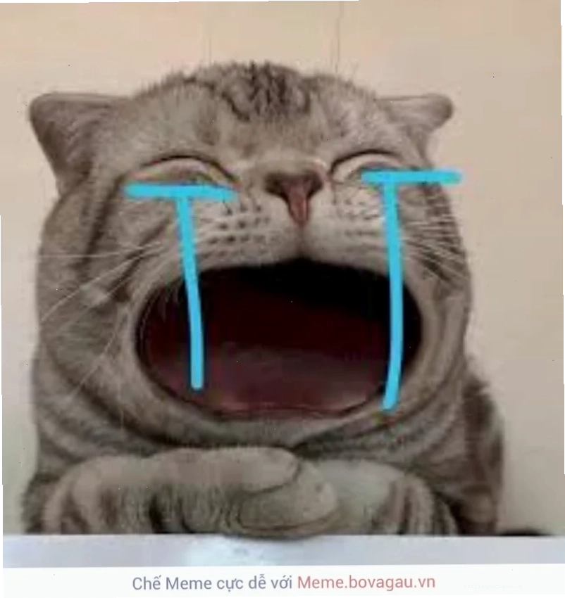 Mèo chibi khóc meme con mèo khóc chibi