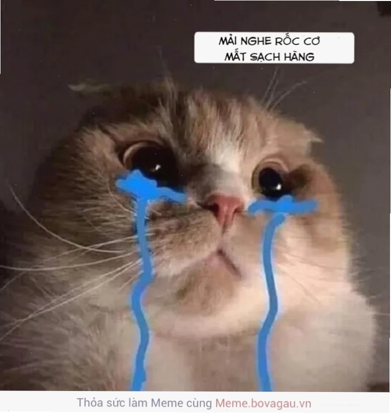 Mèo đau khổ meme con mèo khóc đau khổ