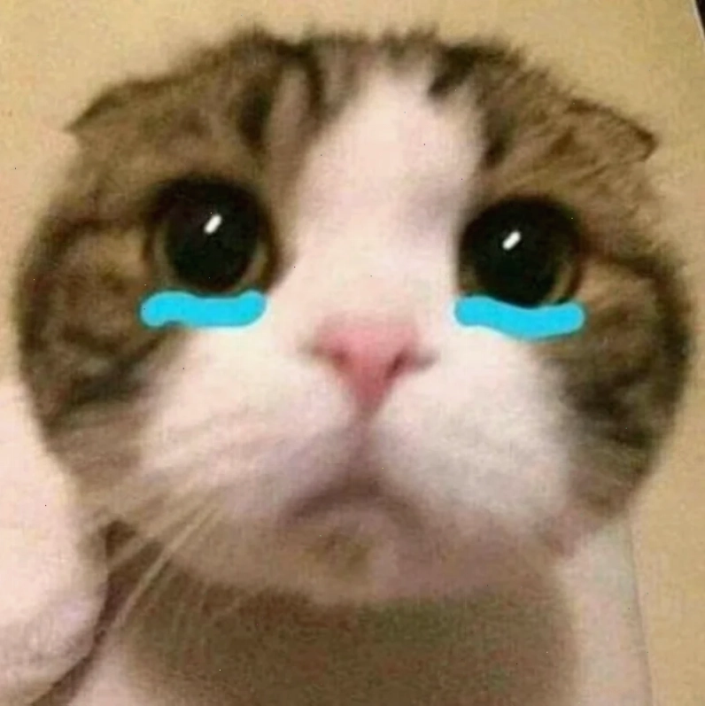 Mèo khóc giơ like meme con mèo khóc like đáng yêu