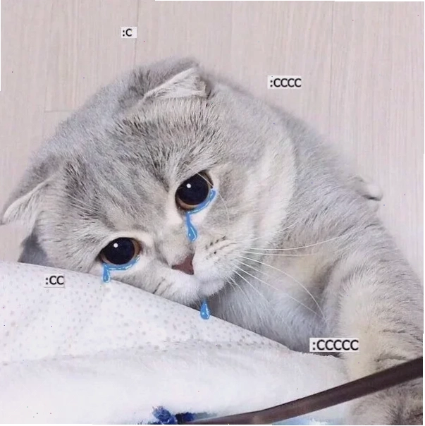 Mèo khóc nức nở meme con mèo khóc lóc nức nở