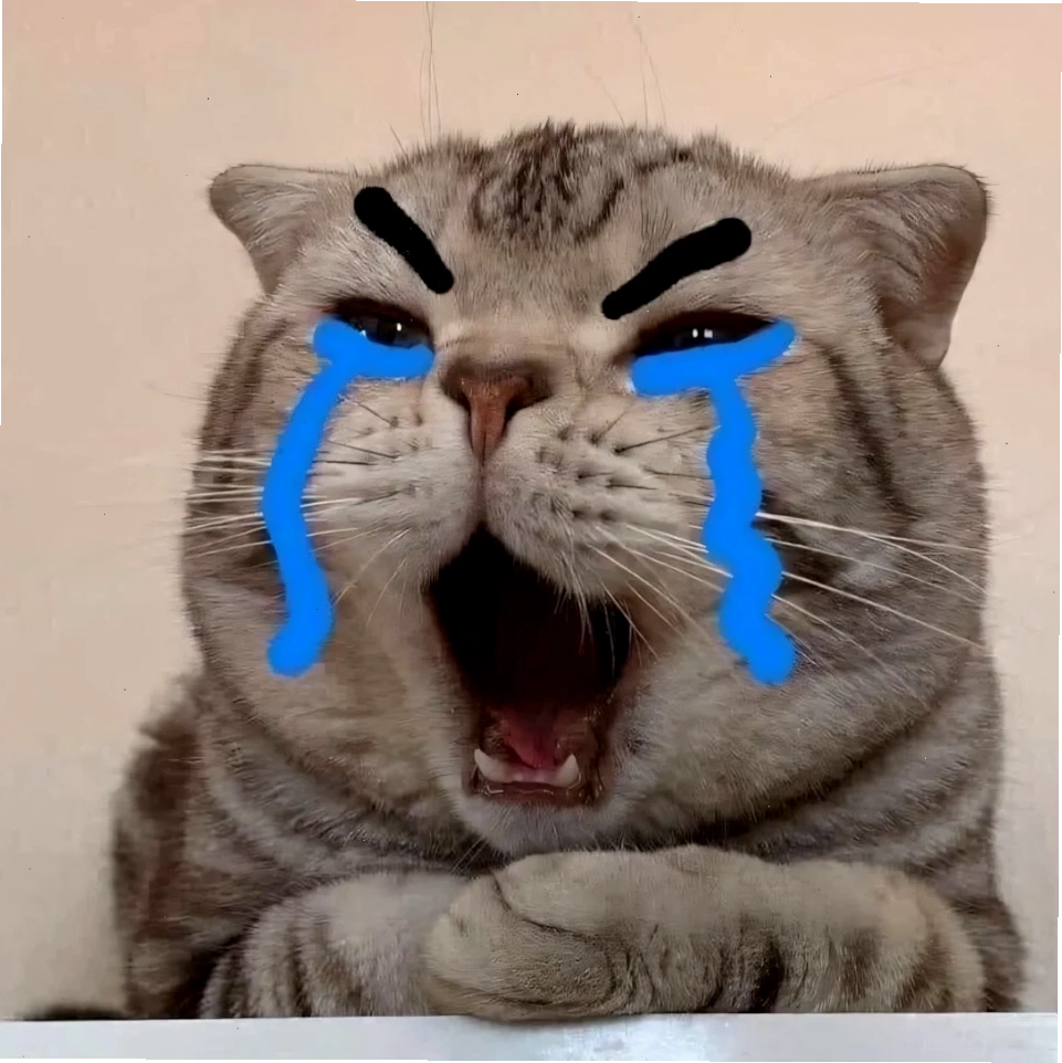 Mèo khóc thét meme con mèo khóc thét đầy kịch tính