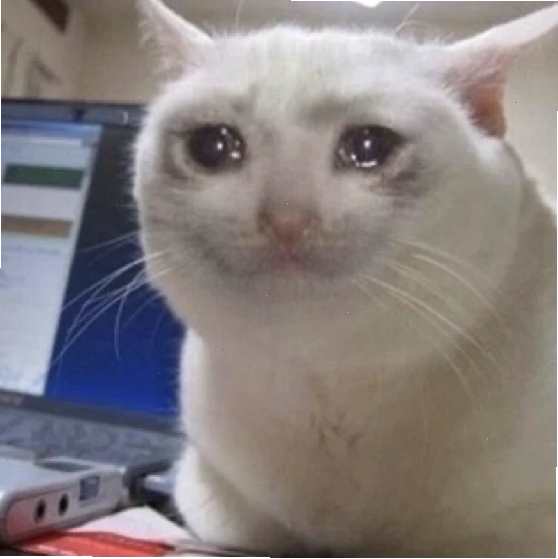 Chú mèo buồn bã meme con mèo khóc với đôi mắt ầng ậc nước