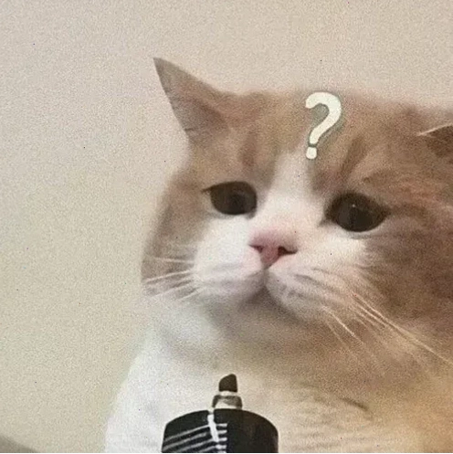 Mèo suy nghĩ meme con mèo ngồi suy nghĩ