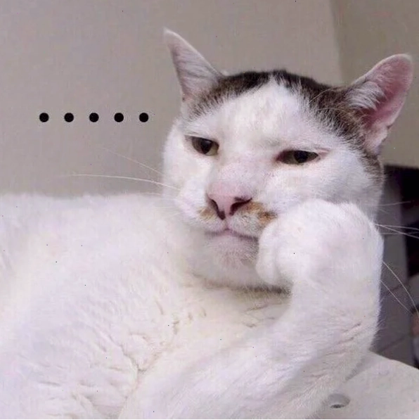 Mèo ngồi nghiêm túc meme con mèo ngồi suy nghĩ trên bàn