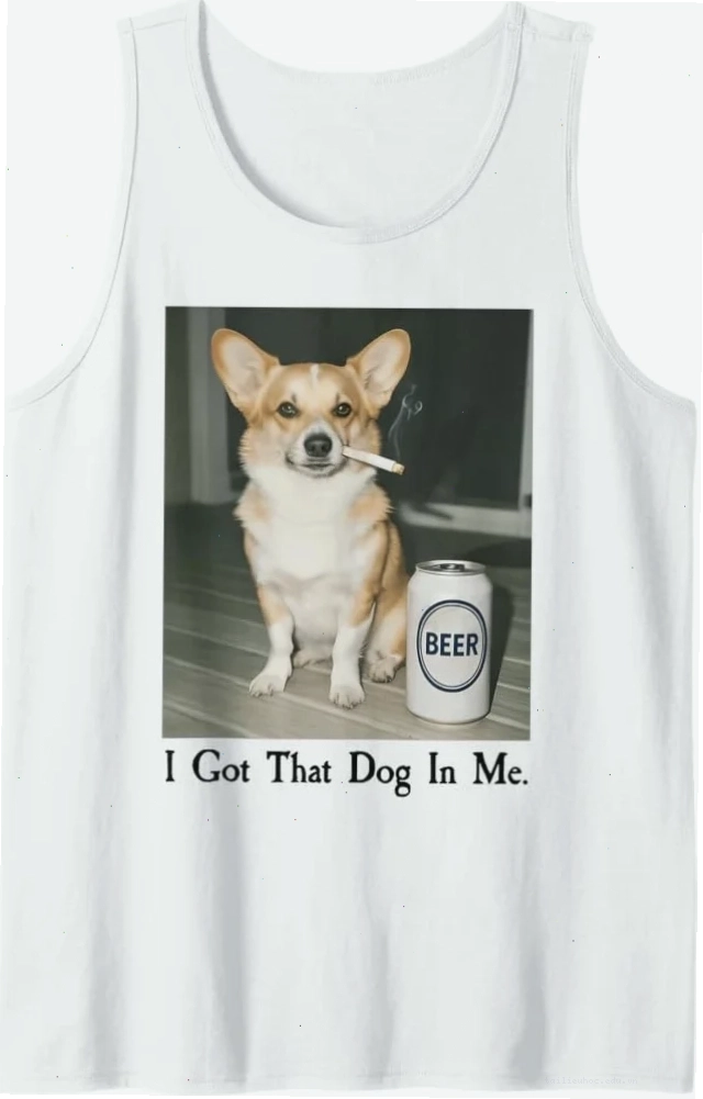 corgi meme mát lạnh meme corgi ăn kem