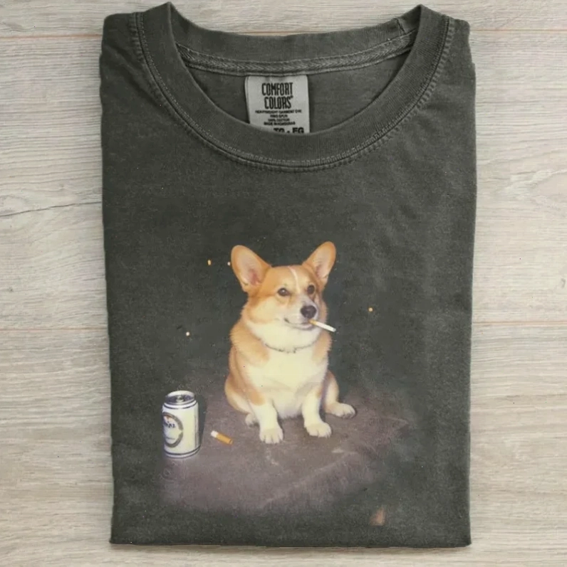 corgi meme ham ăn meme corgi ăn uống