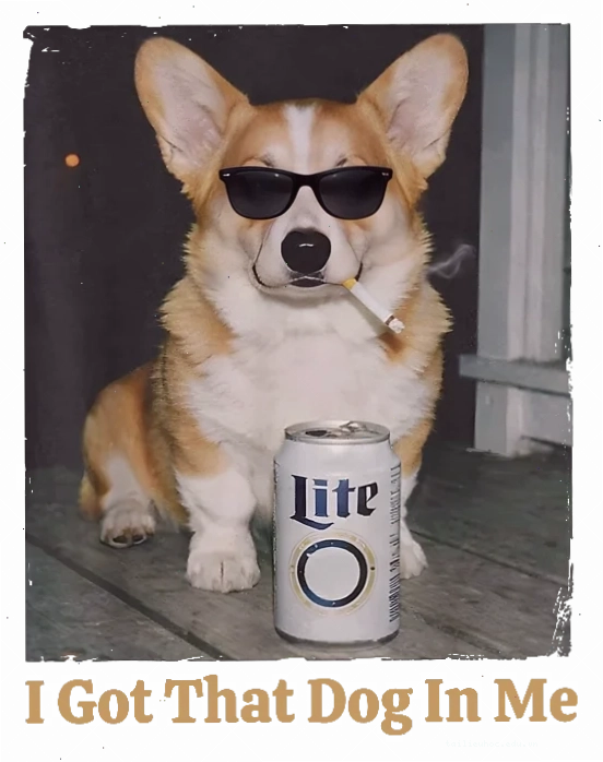 corgi meme chăm chỉ meme corgi học bài