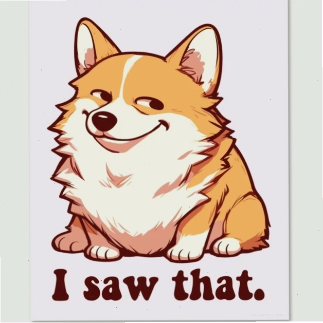 corgi meme bị lỗi meme corgi lag