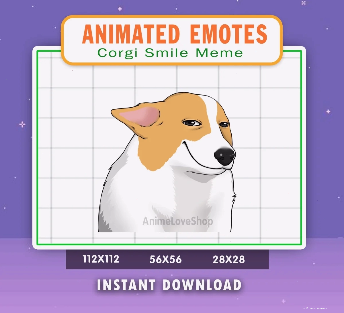 corgi meme sành điệu meme corgi mặc áo