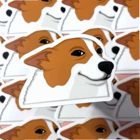 corgi meme sôi động meme corgi nhảy múa