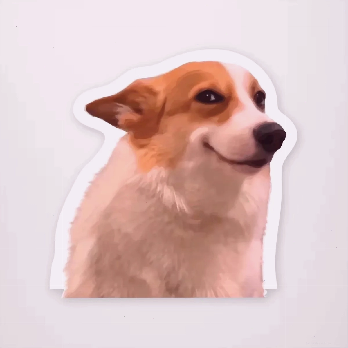 corgi meme ngộ nghĩnh meme corgi vui nhộn
