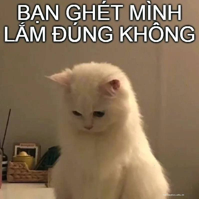 meme xin lỗi cute meme cute dỗ người yêu