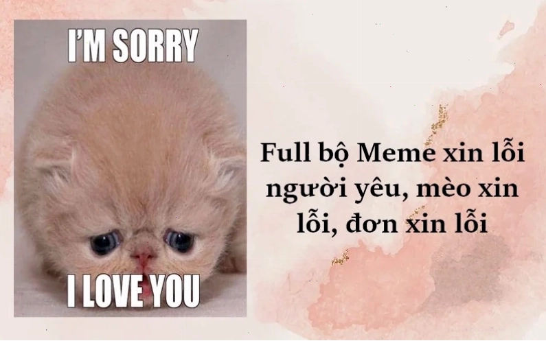 meme cute meme cute dỗ người yêu