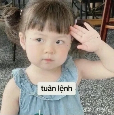 meme xin lỗi người yêu meme cute dỗ người yêu