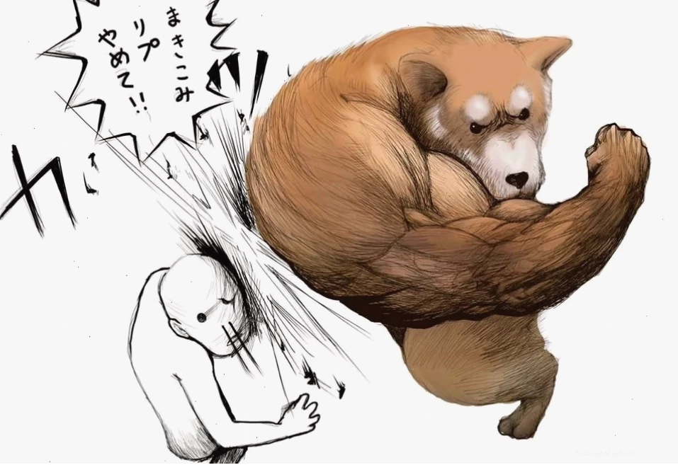 Meme đấm mạnh meme đấm vỡ màn hình