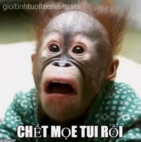 meme đáng sợ meme đáng sợ cá con