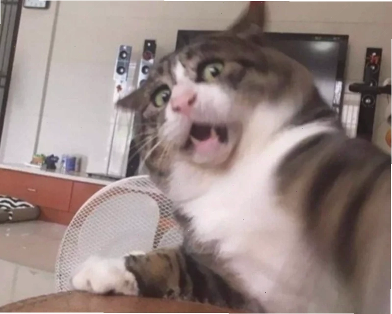 meme đáng sợ meme đáng sợ cô gái
