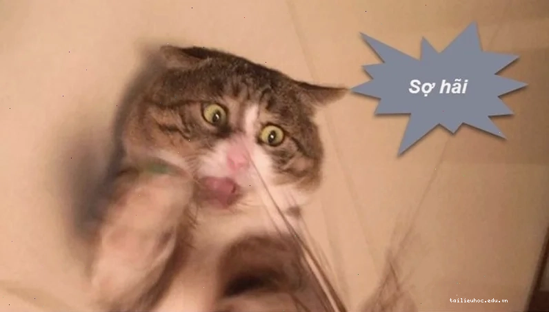 meme đáng sợ meme đáng sợ hamster