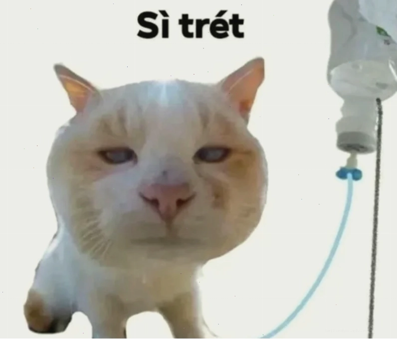 Meme hài hước Meme đáng suy ngẫm hài hước