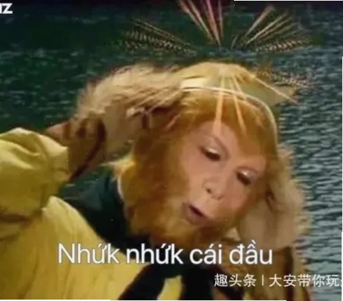 meme đau đầu chóng mặt meme đau đầu chóng mặt vì công việc