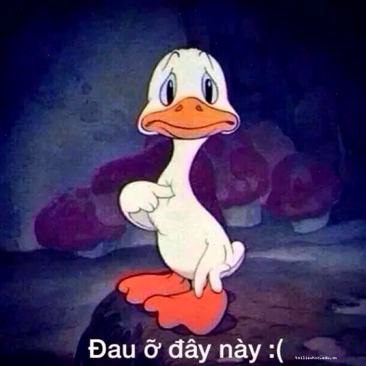 meme đau đầu meme đau đầu nhìn màn hình
