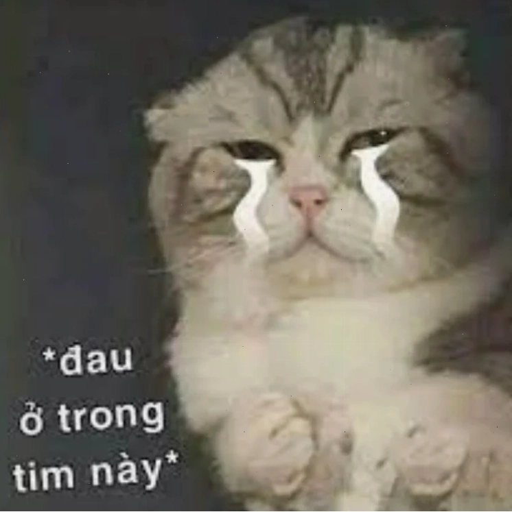 meme đau đầu meme đau đầu thở dài