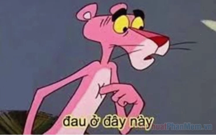 Meme đau ở đây