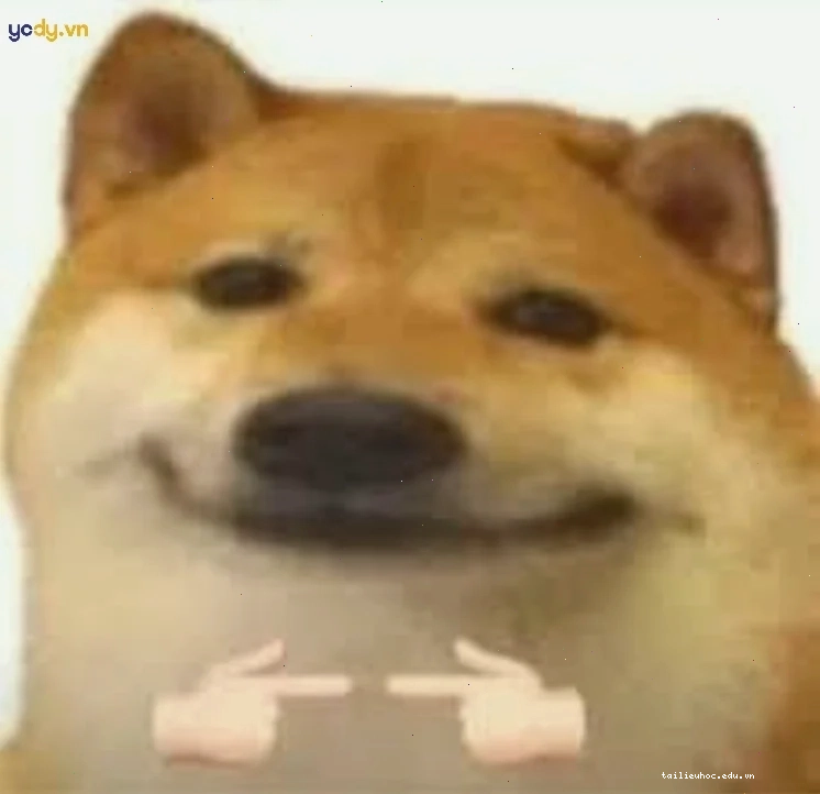 meme dễ thương meme dễ thương