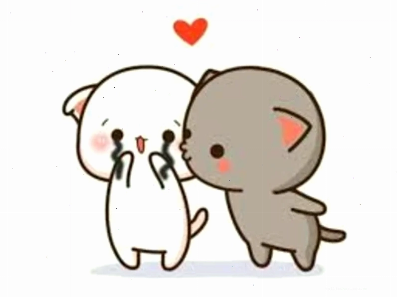 meme năn nỉ meme dỗ dành người yêu
