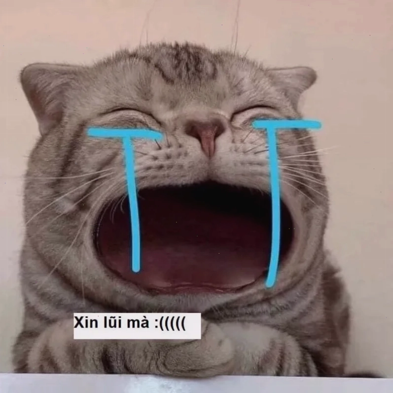meme xin lỗi được chưa meme dỗ người yêu dỗi