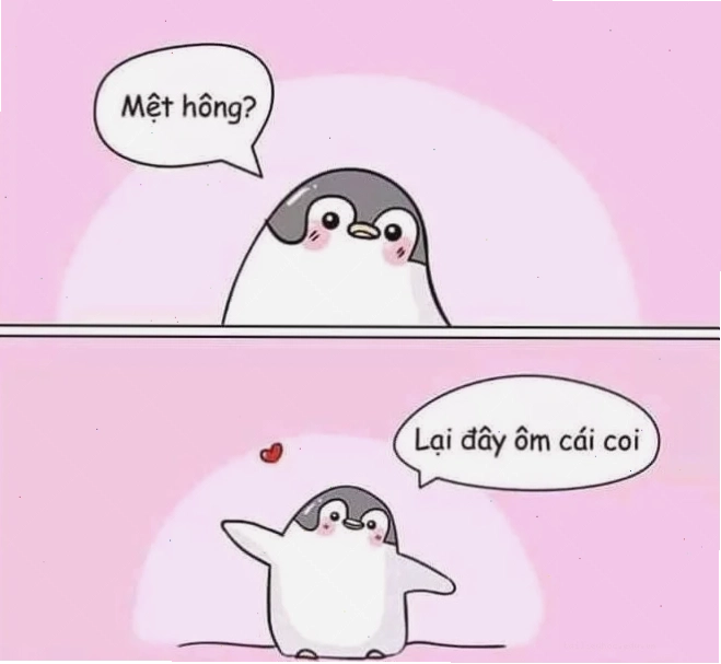 meme xin lỗi dễ thương meme dỗ người yêu dỗi
