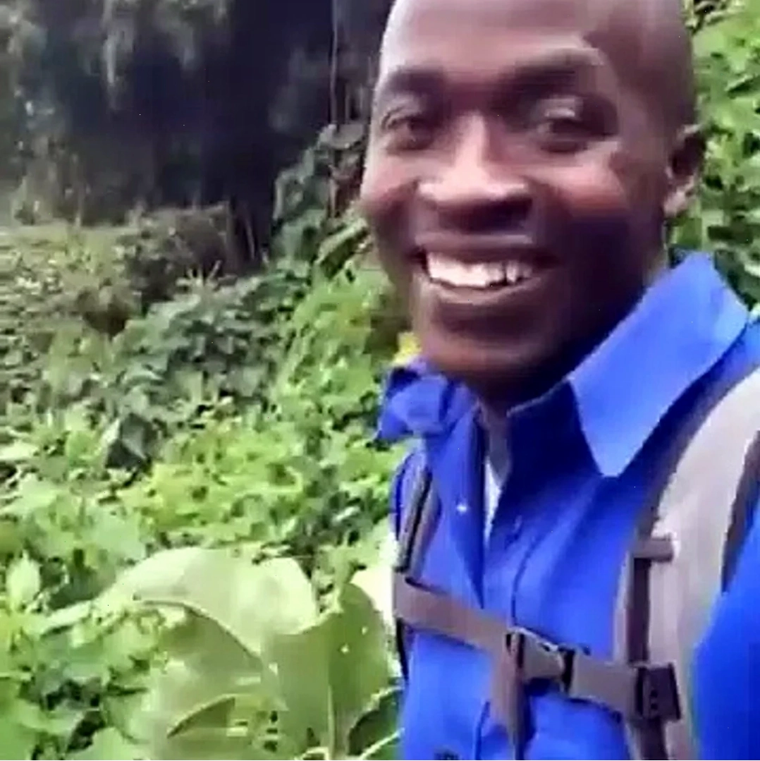meme động vật