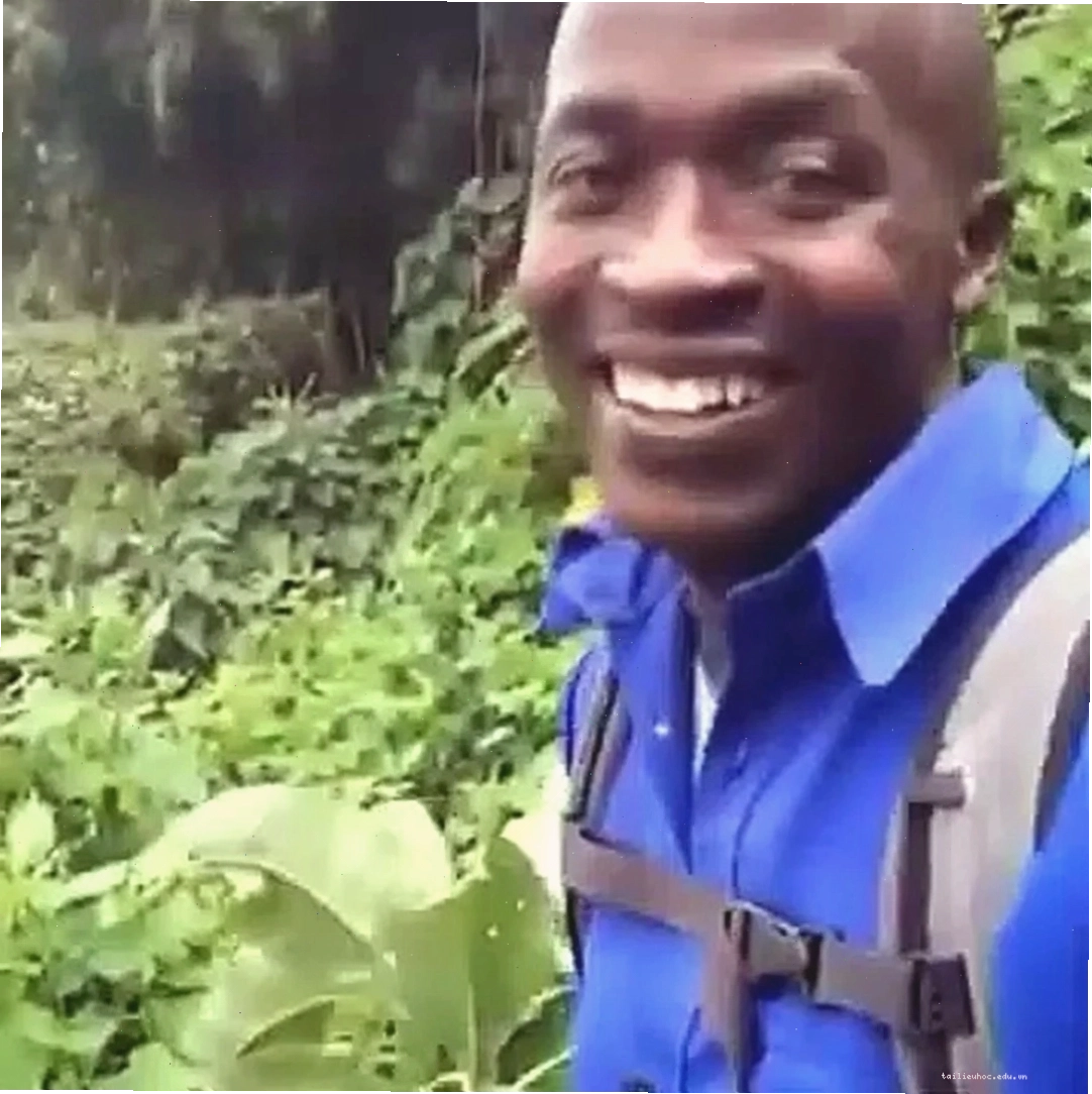 Meme hải li meme động vật