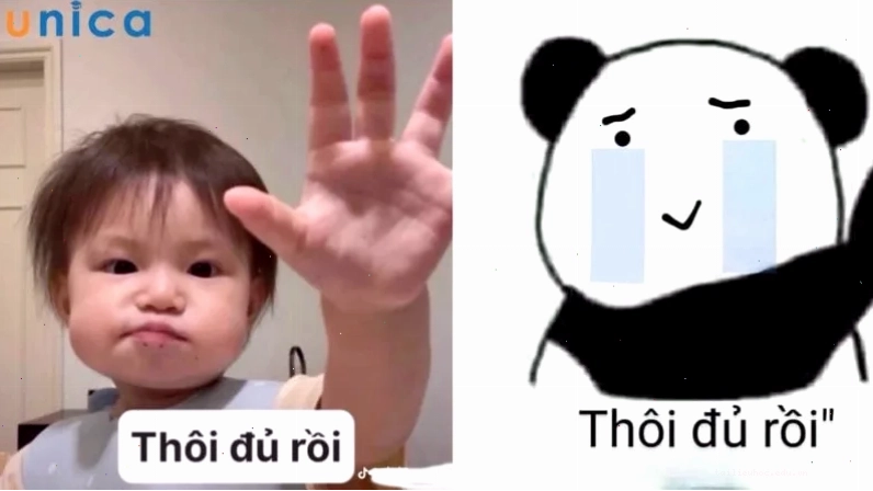 Meme động vật dễ thương quá đủ rồi quá mệt rồi meme
