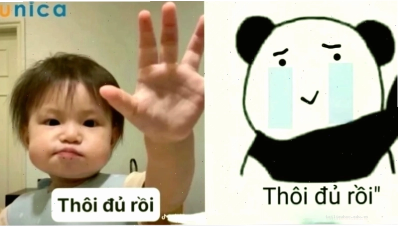 Động vật mệt mỏi Meme động vật dễ thương quá đủ rồi quá mệt rồi meme
