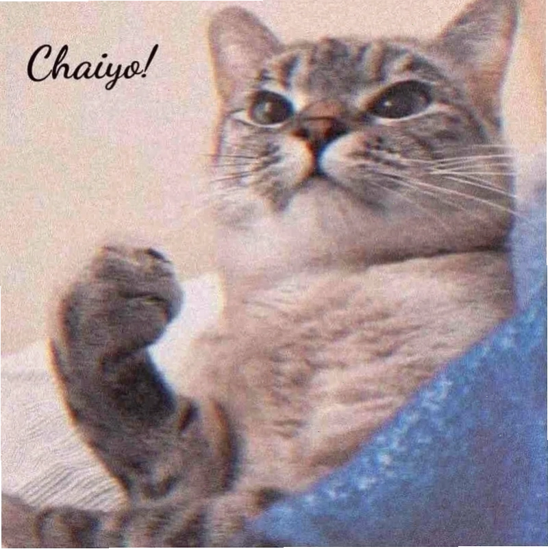 nụ cười meme động viên nụ cười tỏa nắng