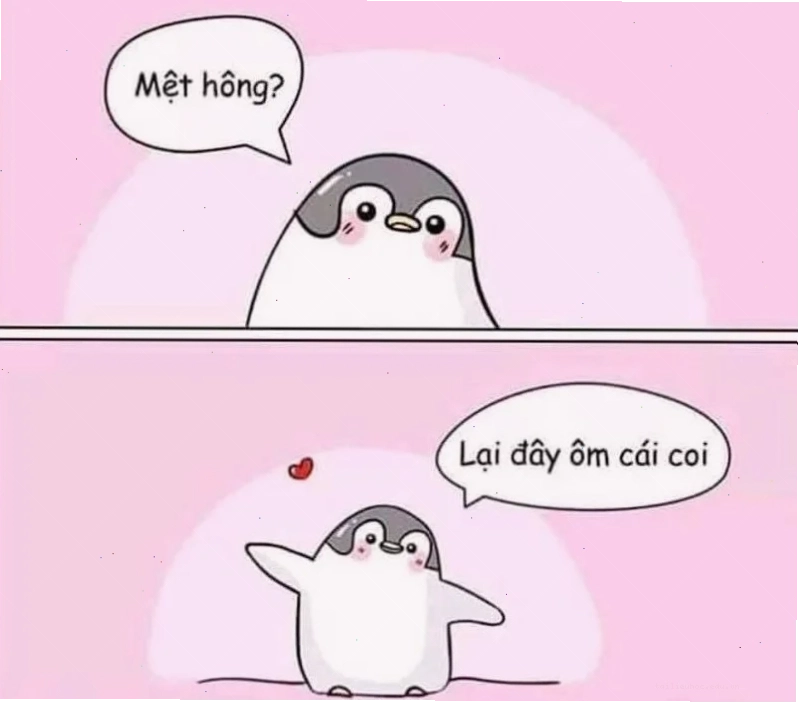 meme động viên sinh viên meme động viên tinh thần cho sinh viên