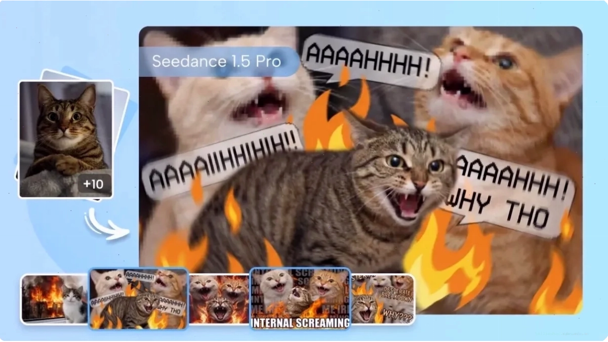 meme xu hướng meme dự đoán xu hướng
