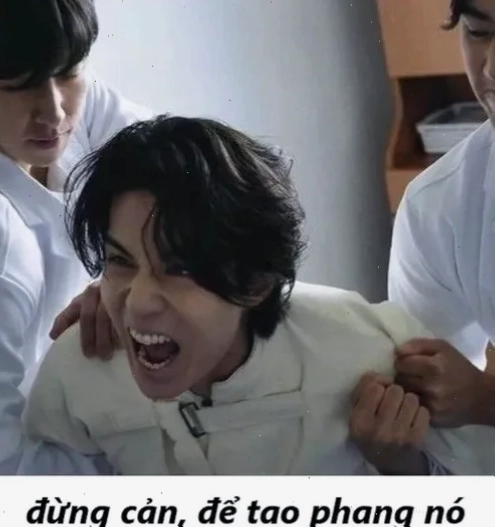 Meme độc Meme đừng cản tao cực độc