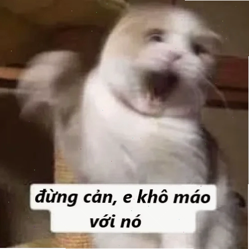 Meme vui Meme đừng cản tao vui vẻ