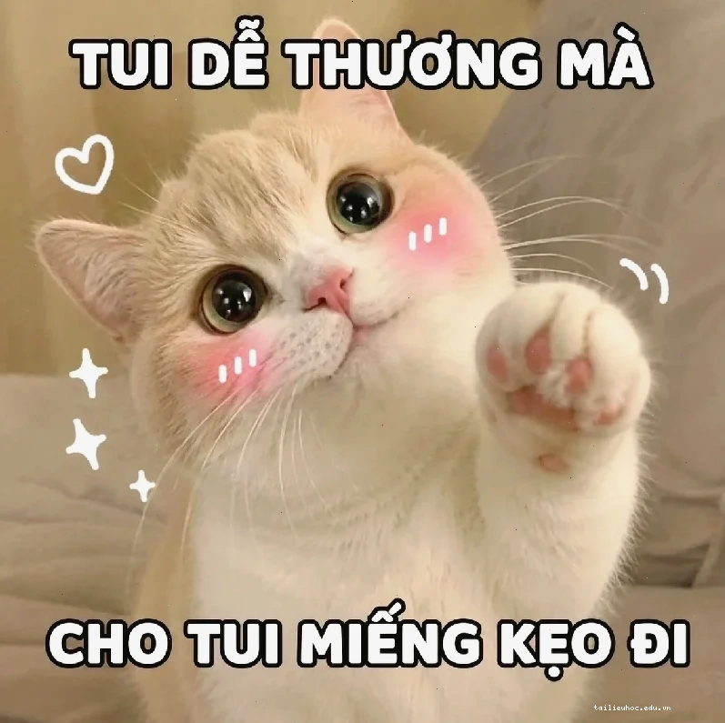meme em đẹp lắm meme em đẹp lắm