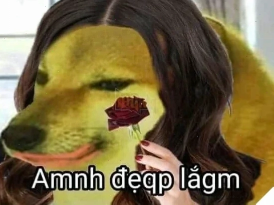 meme em đẹp lắm meme em đẹp lắm